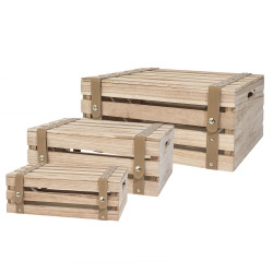 Set di 3 scatole in legno con coperchio incernierato