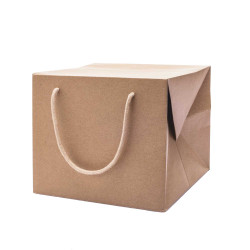 Bag Box Portapanettone Kraft Avana