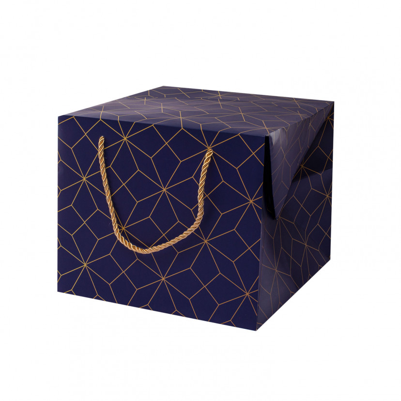 Bag Box Geometric
