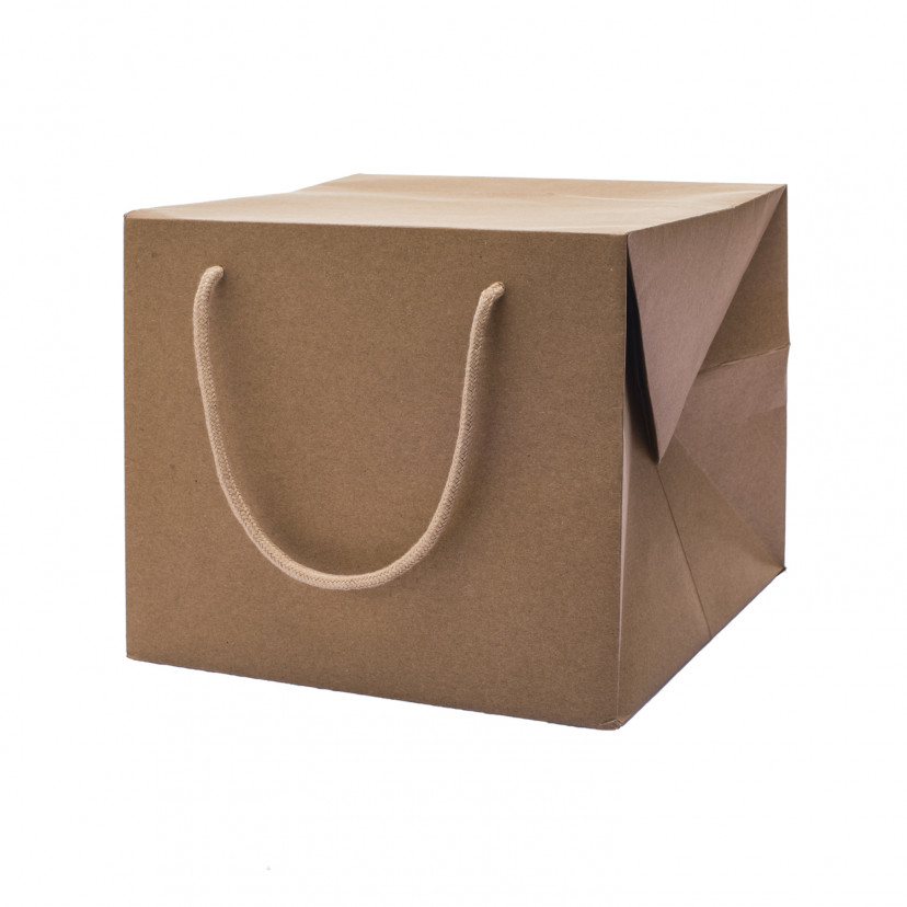 Bag Box Portapanettone Kraft Avana