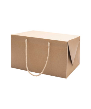 Bag Box Kraft per Delivery