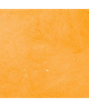 Carta Regalo Fibre Naturali Arancio