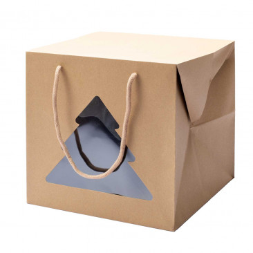  Bag Box Kraft con finestra Albero