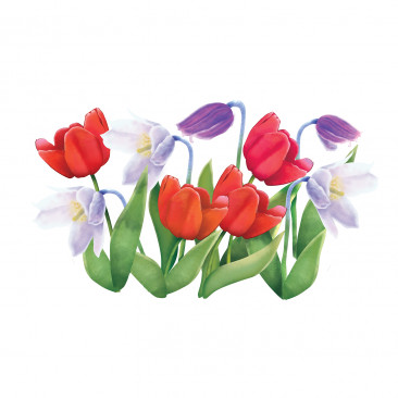 Vetrofania Tulipani 