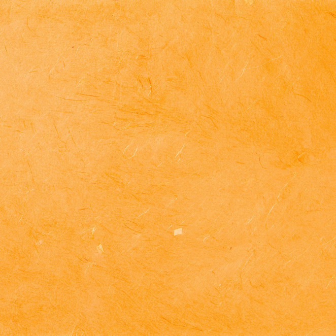 Carta Regalo Fibre Naturali Arancio